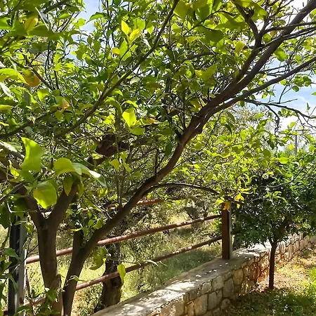 Stara Stone House Tranquil Garden & Dazzling View *